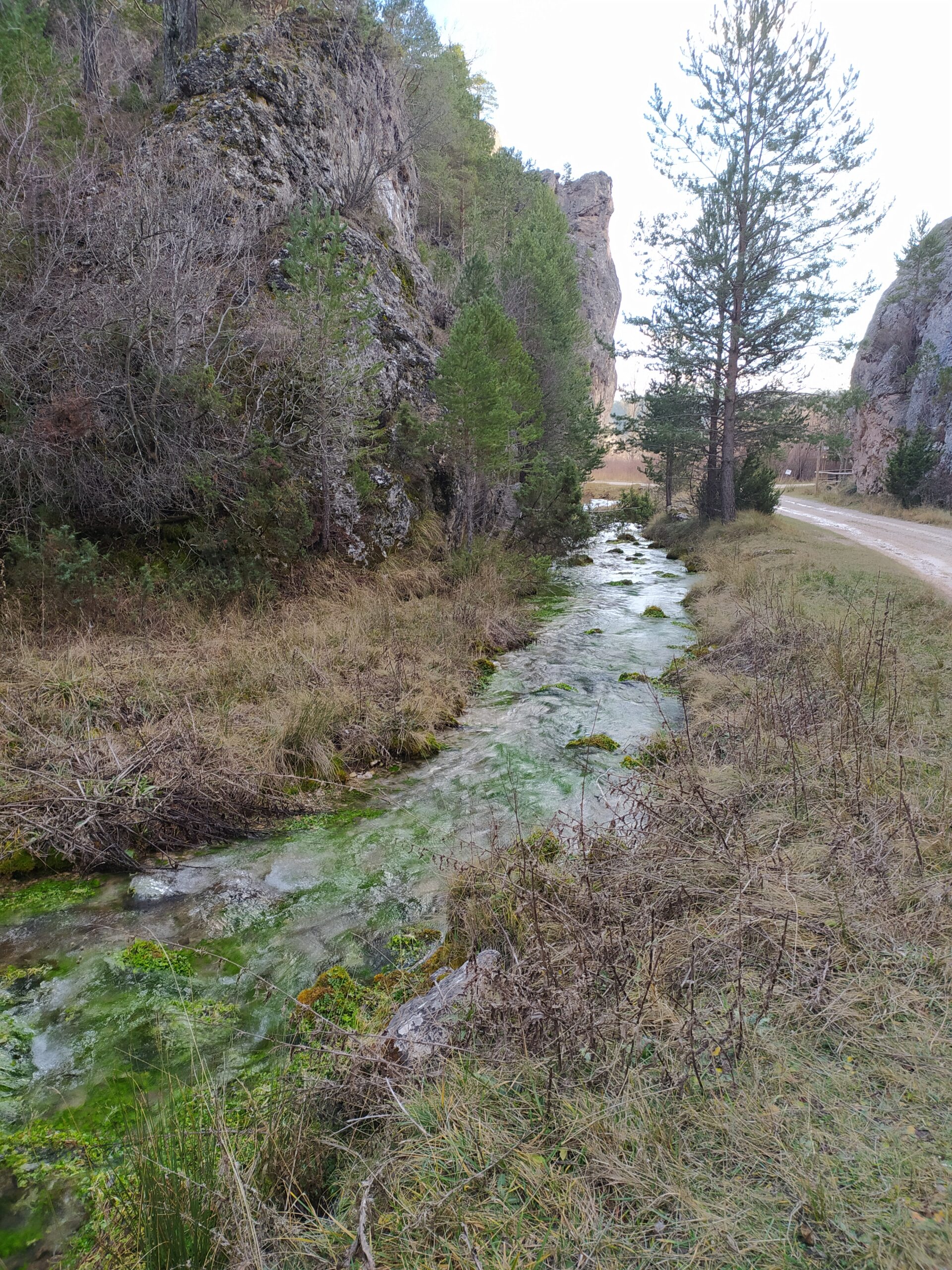 Estrecho de San Blas - Tragacete